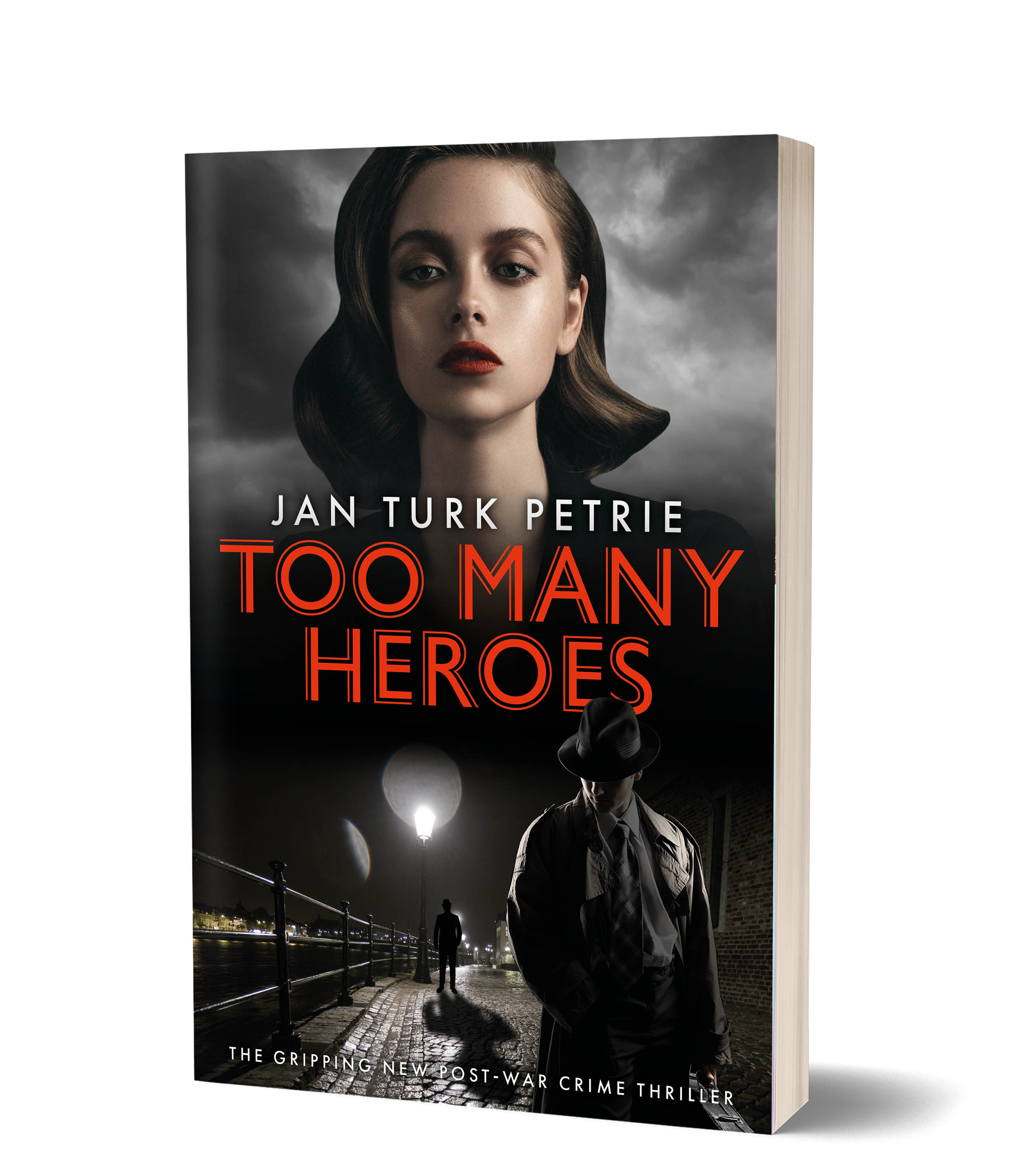 Too Many Heroes Cover 3D